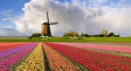 The Netherlands