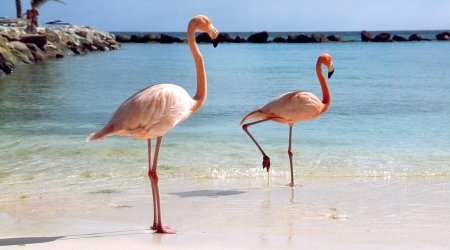 Dominican Republic