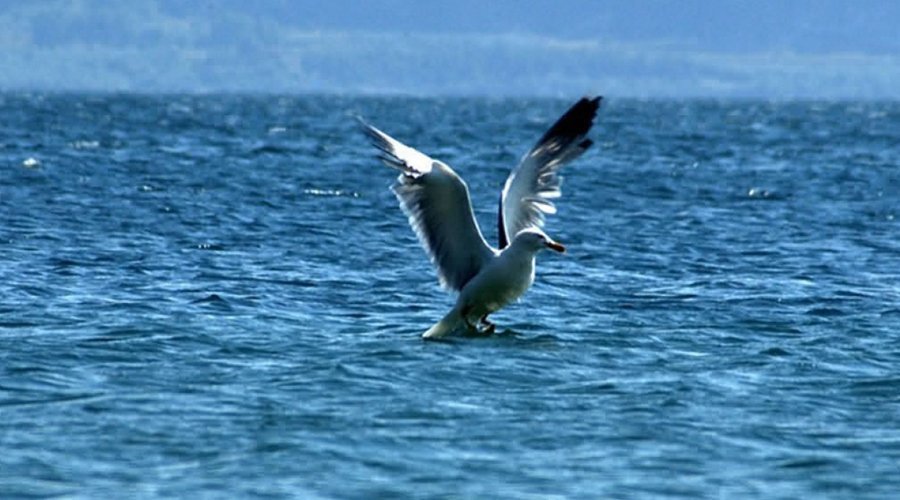 Lake Sevan (Sevanavank), Dilijan (old town, Goshavank, Haghartsin)