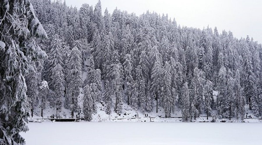 Best Resort Aghveran