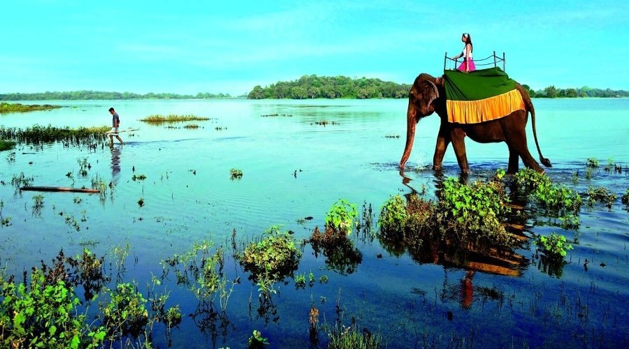 New Year in Sri Lanka
