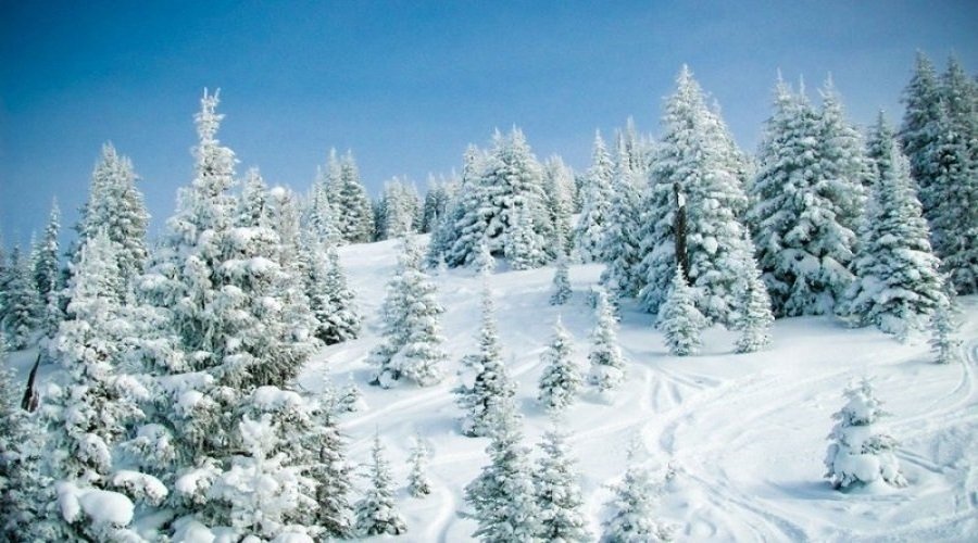 New-Year at Aghveran Alpiakan Manushak  Hotel