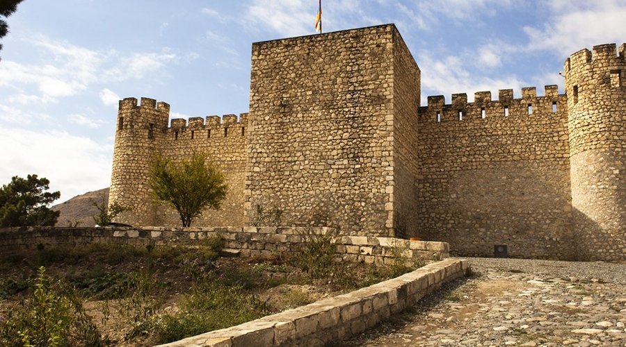 City Tigranakert